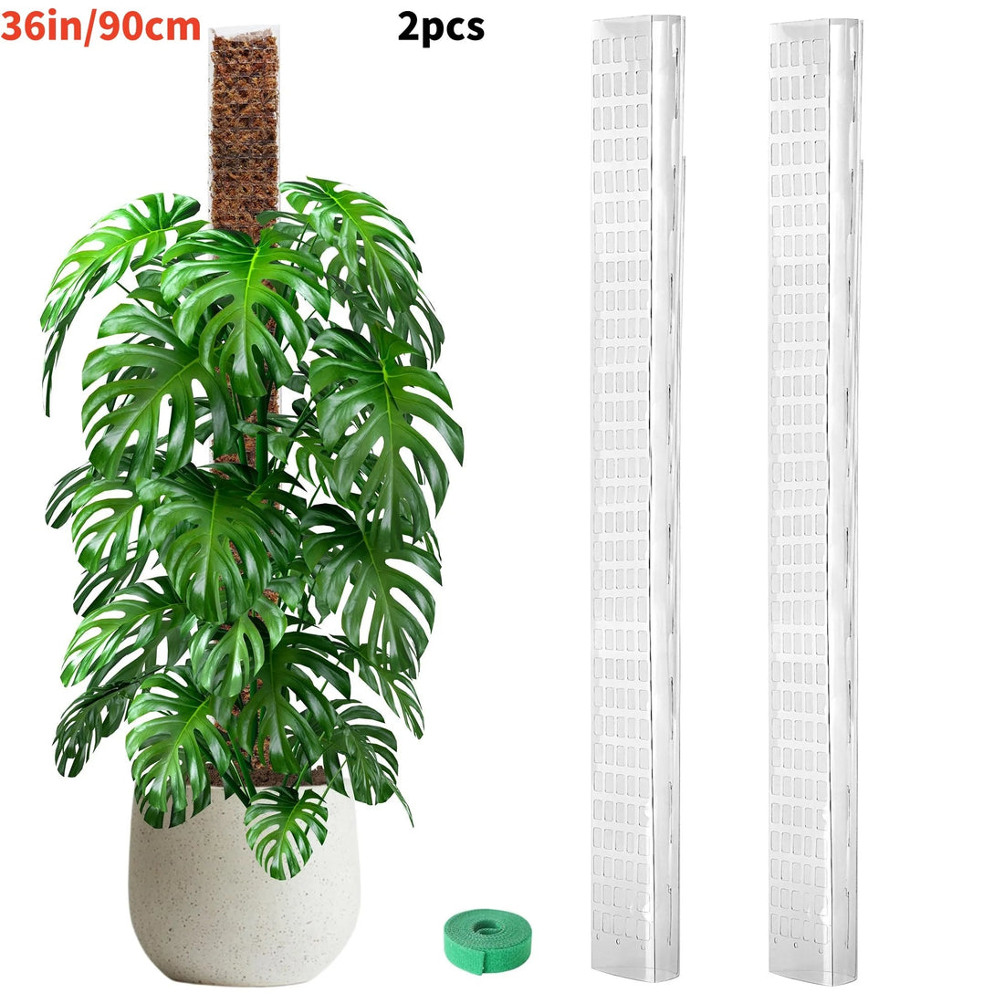 Tuteur en mousse transparent pour Monstera et plantes grimpantes